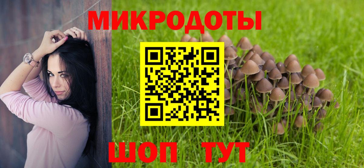 Чебоксары  Галлюциногенные грибы Psilocybe  Псилоцибиновые грибы GOLDEN TEACHER  Вход с VPN 