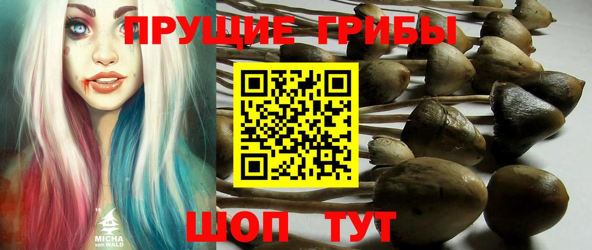 Галлюциногенные грибы GOLDEN TEACHER Чебоксары
